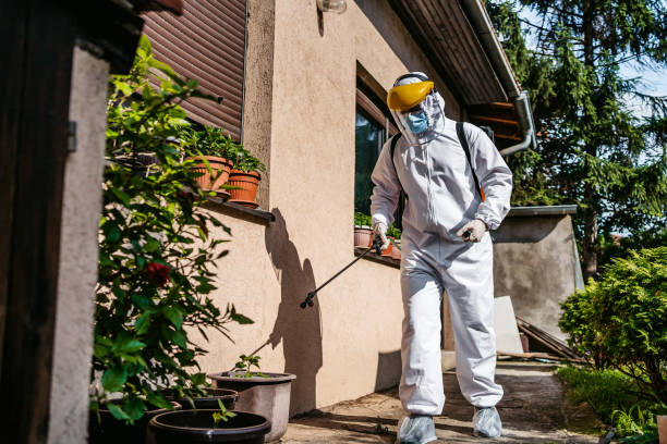 Best Affordable Pest Control Services  in Waco, TX
