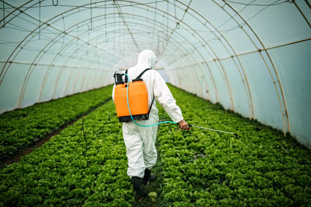 Best Mosquito Control Services  in Waco, TX
