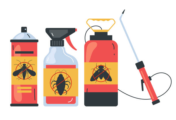 Best Pest Control Treatment  in Waco, TX