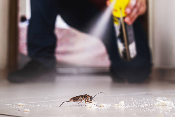 Best Cockroach Control Services  in Waco, TX