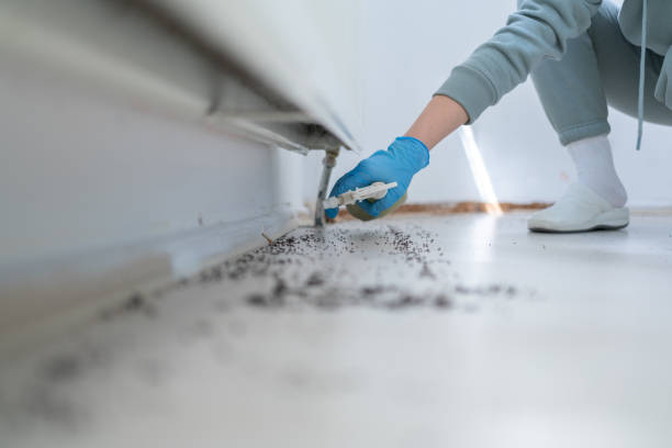 Best Residential Pest Control  in Waco, TX