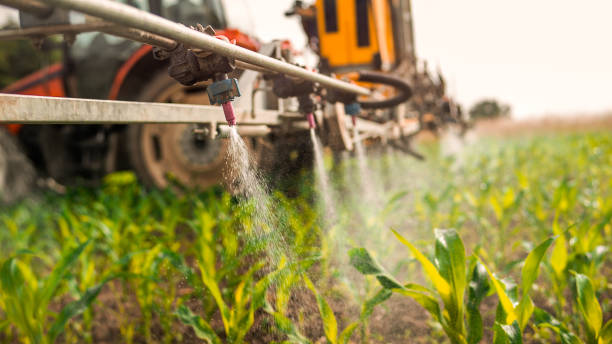 Professional Pest Control in Waco, TX