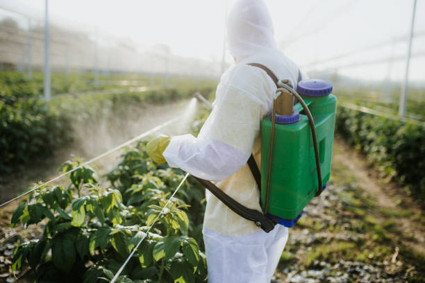 Best Pest Inspection Near Me  in Waco, TX